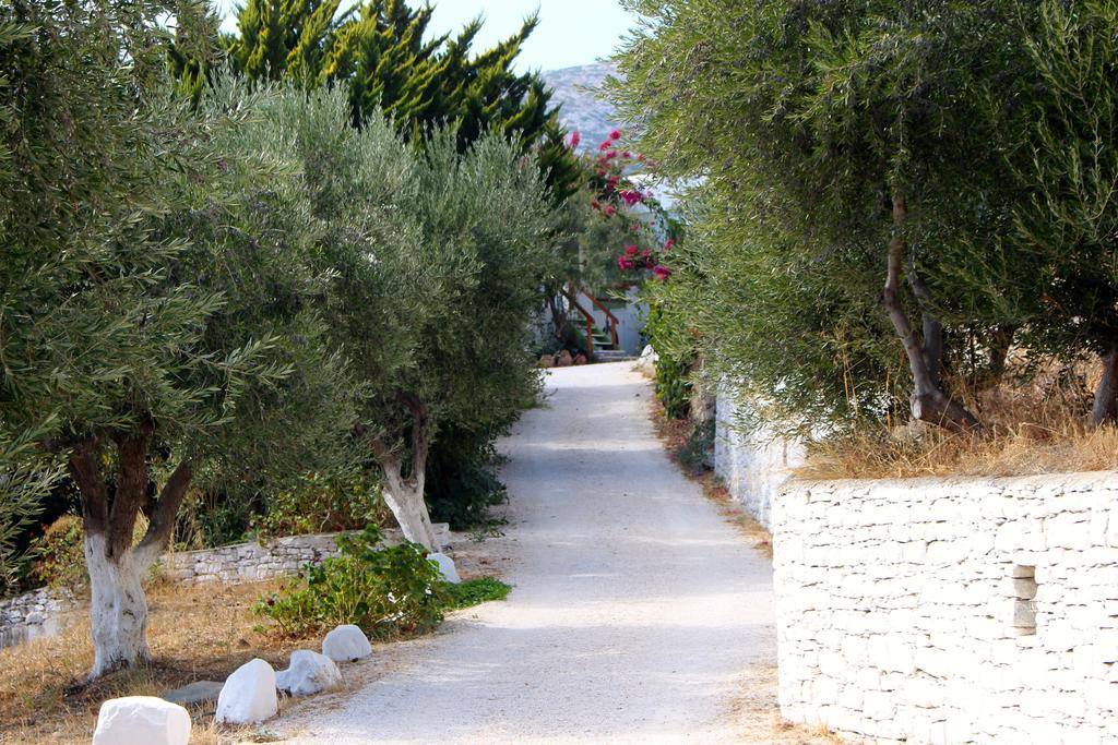 אפולוניה Eleonas Apartments חדר תמונה